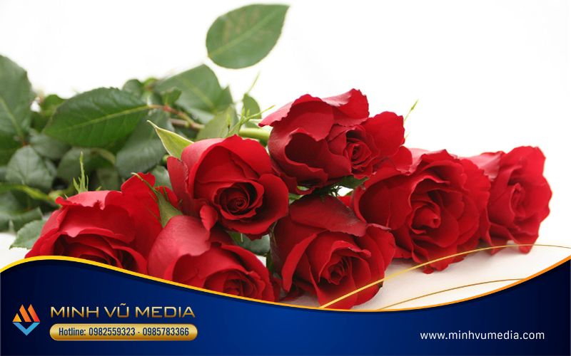 Hoa hồng làm món quà tặng lễ khai trương